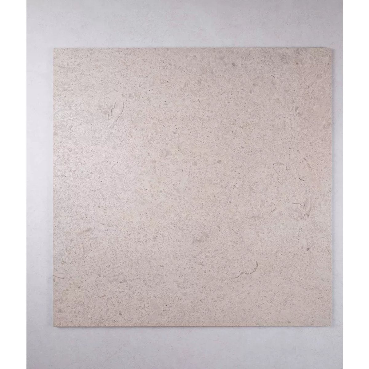 Carrelage Effet Terrazzo - Pierre CARACTER Greige 60x120 Rectifié