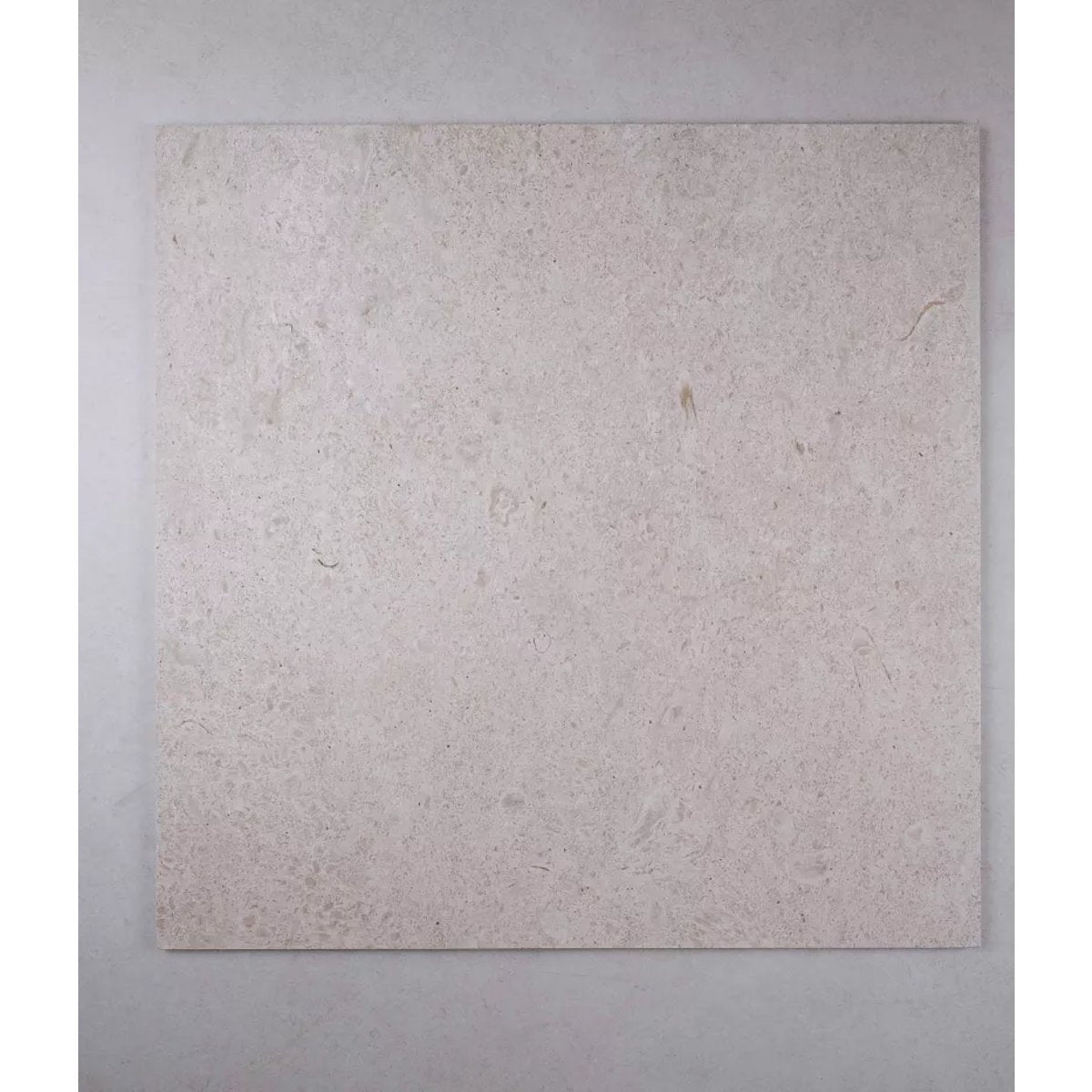 Carrelage Effet Terrazzo - Pierre CARACTER Arena 60x120 Rectifié