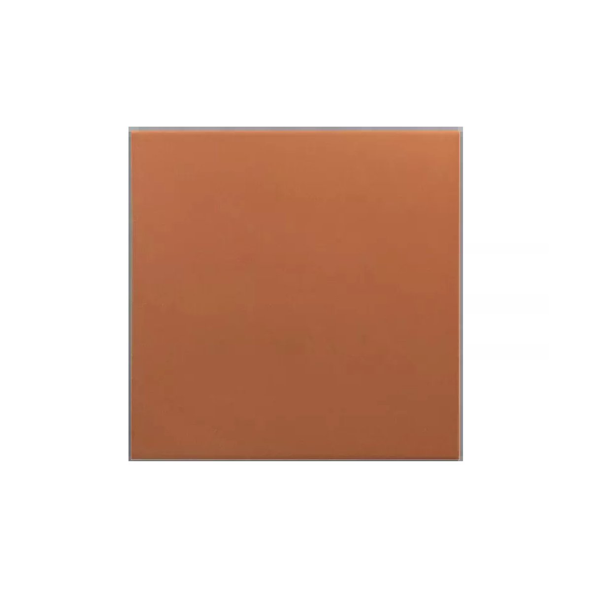 Carrelage Imitation Carreaux De Ciment 20x20 RIVOLI Terre