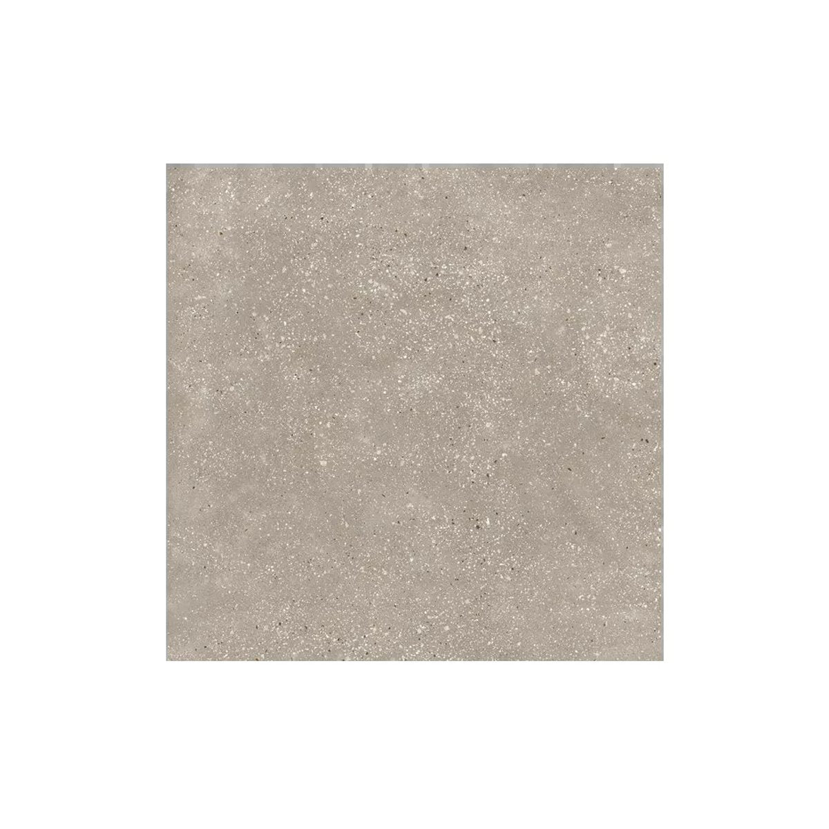 Carrelage Effet Terrazzo AMA 60x60 Rectifié Tortora