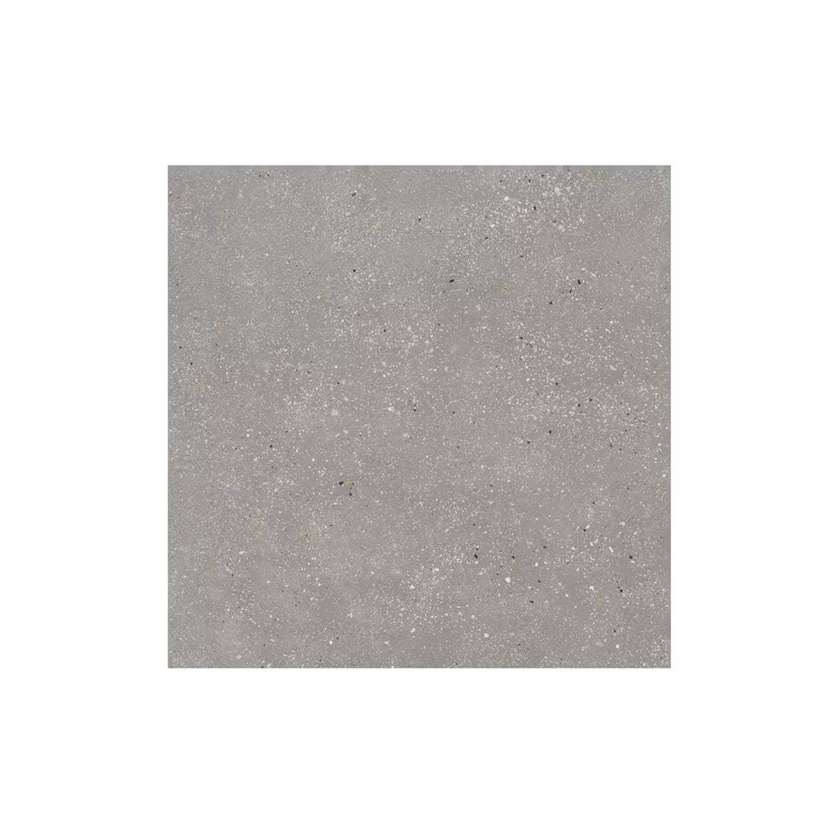 Carrelage Effet Terrazzo AMA 60x60 Rectifié Cenere