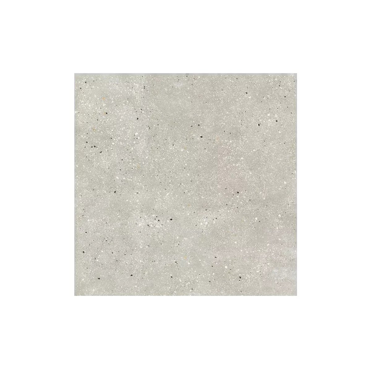 Carrelage Effet Terrazzo AMA 60x60 Rectifié Grigio
