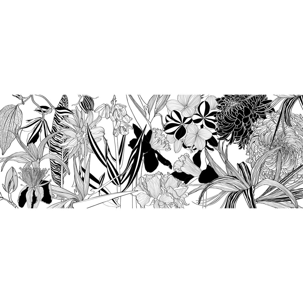 Papier peint panoramique - Feuilles Tropicales