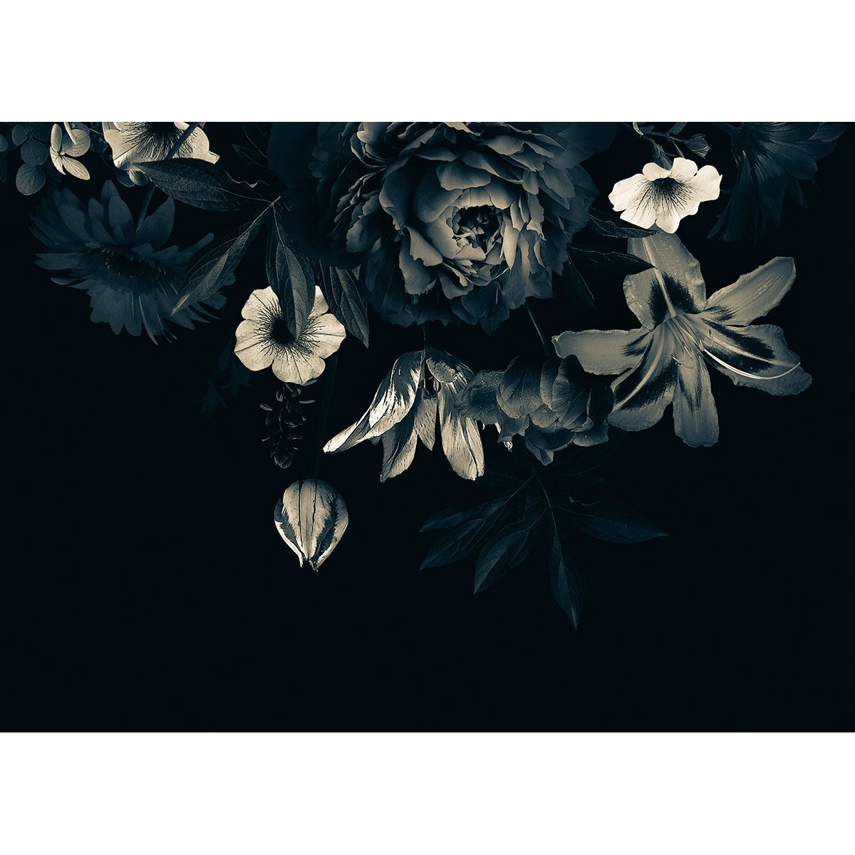 Papier peint panoramique - Fleurs