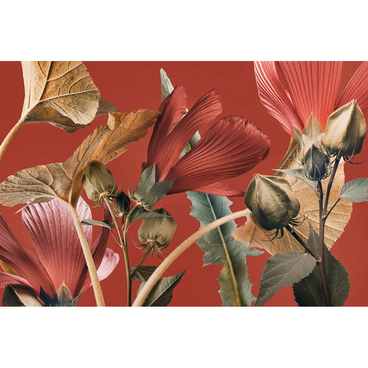 Papier peint panoramique - Fleurs