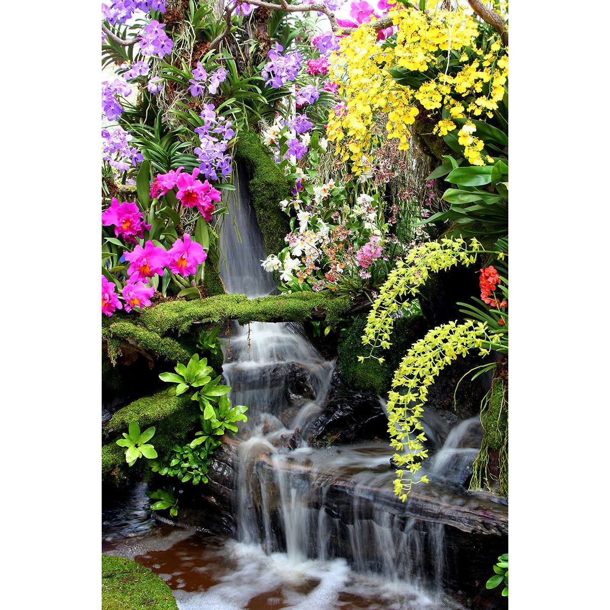 Papier peint panoramique - Cascade Fleurs