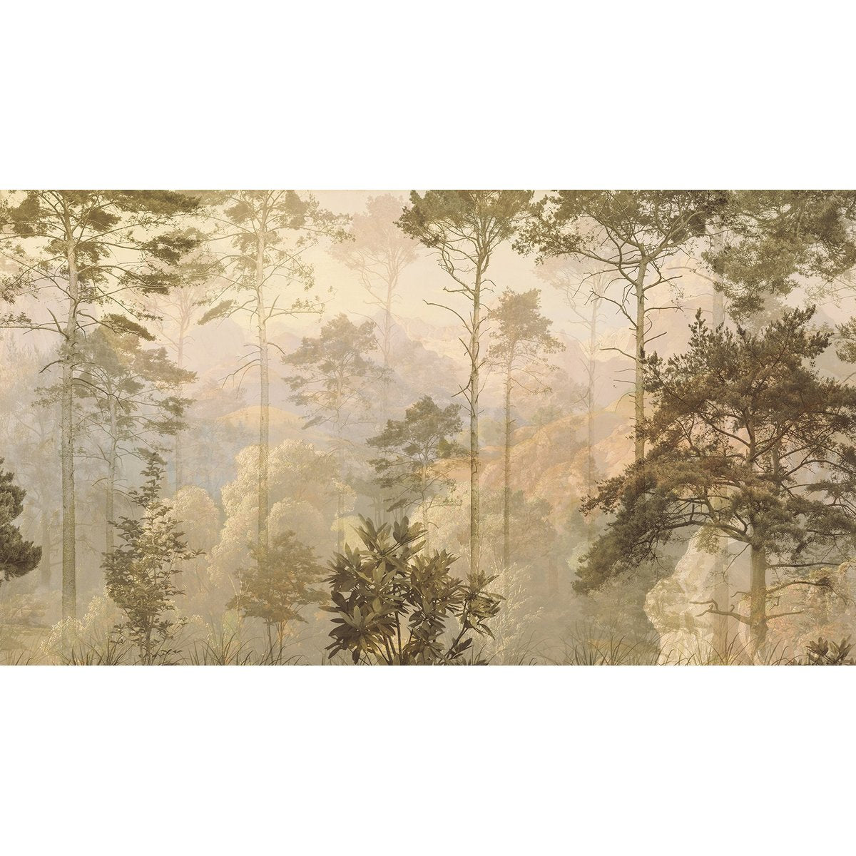 Papier peint panoramique - Forêt