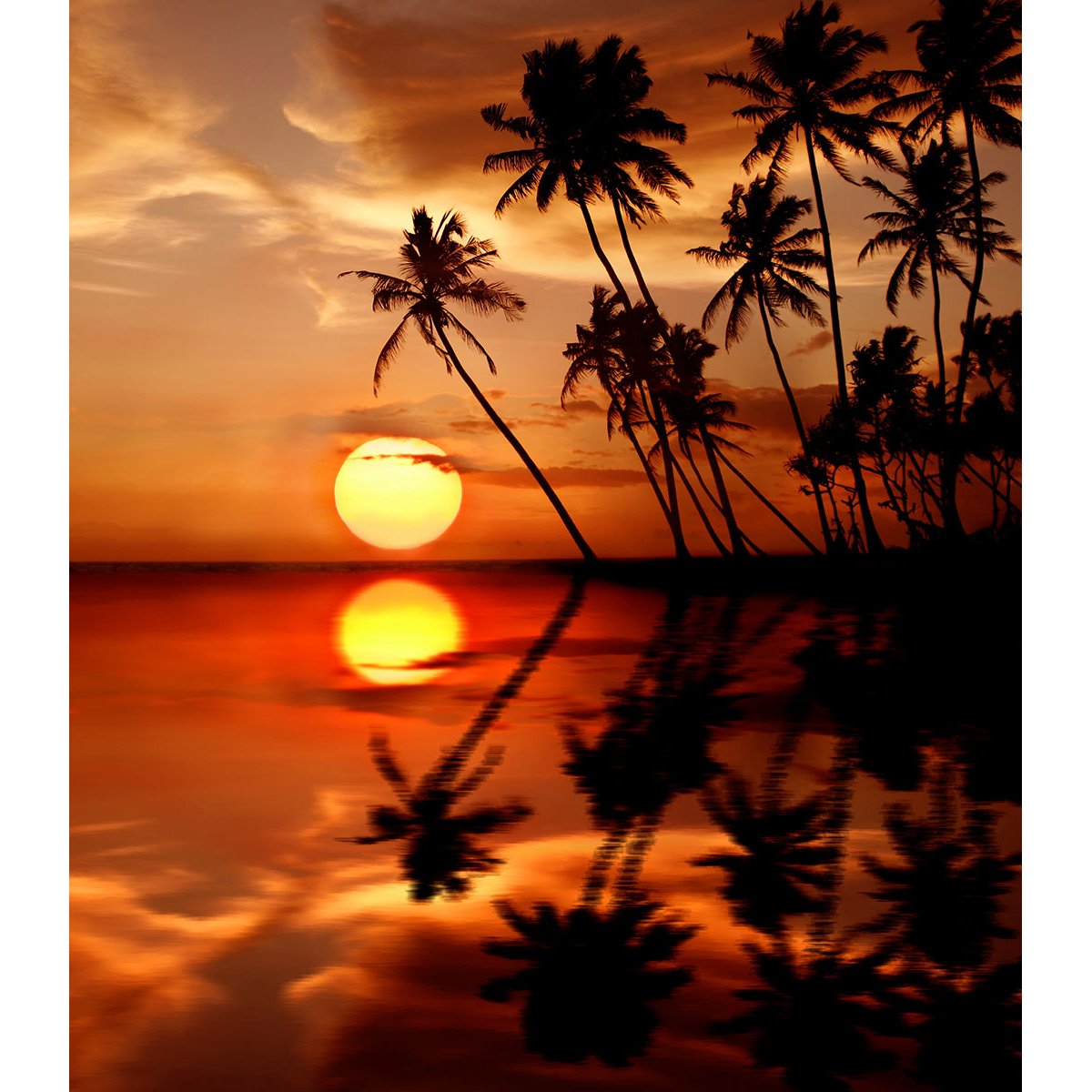 Papier peint panoramique - Couché de soleil