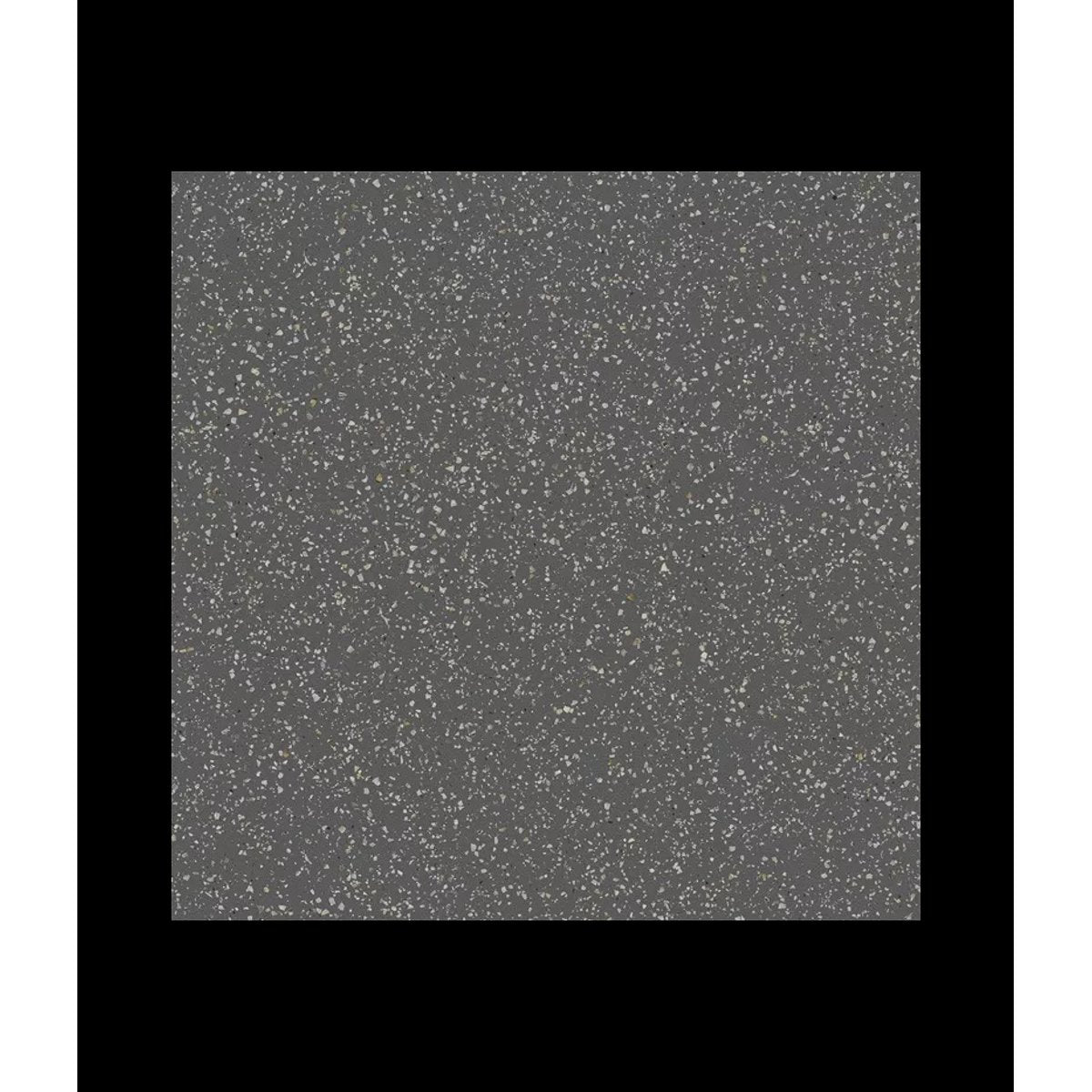 Carrelage Effet Terrazzo POLS 60x60 Graphite