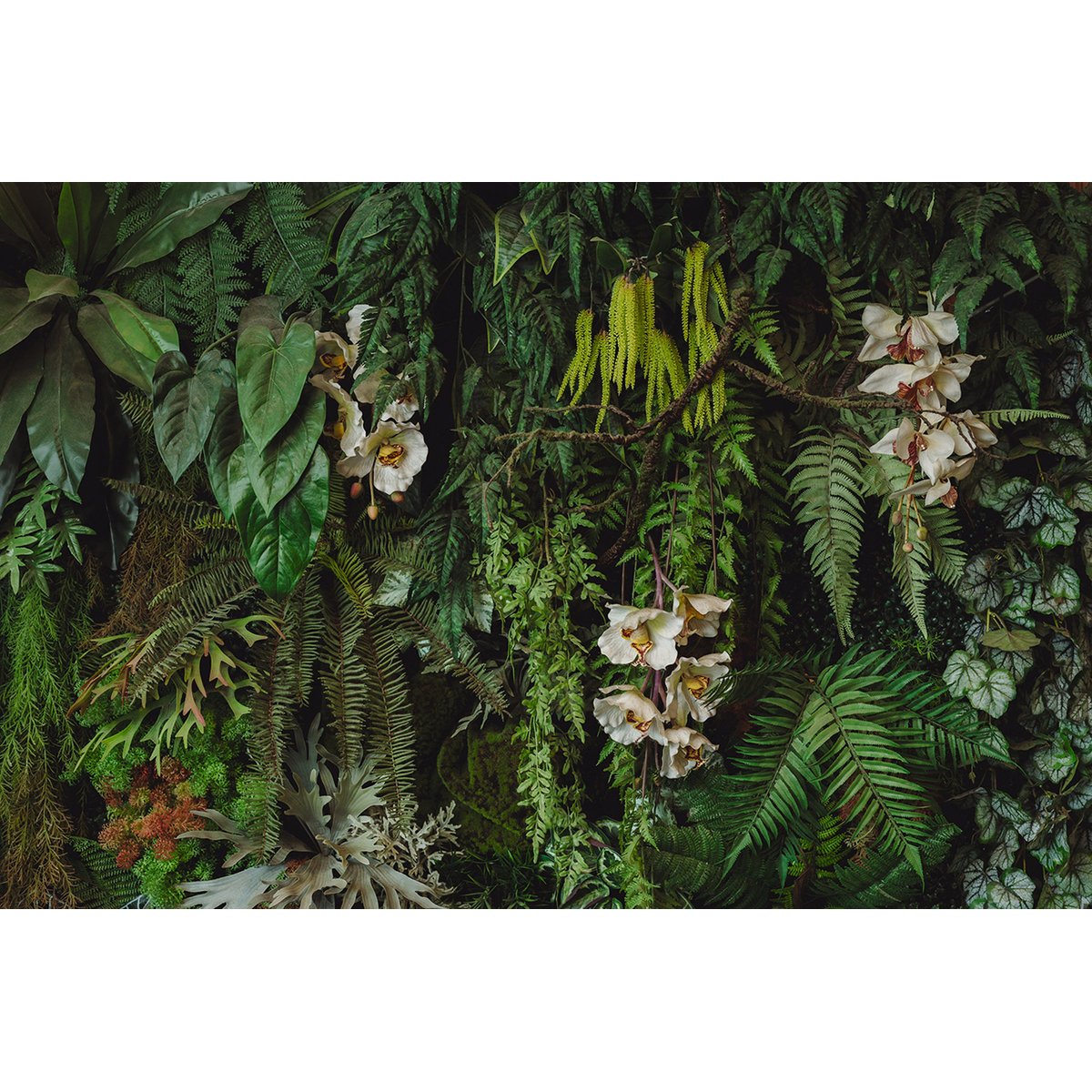 Papier peint panoramique - Fleurs