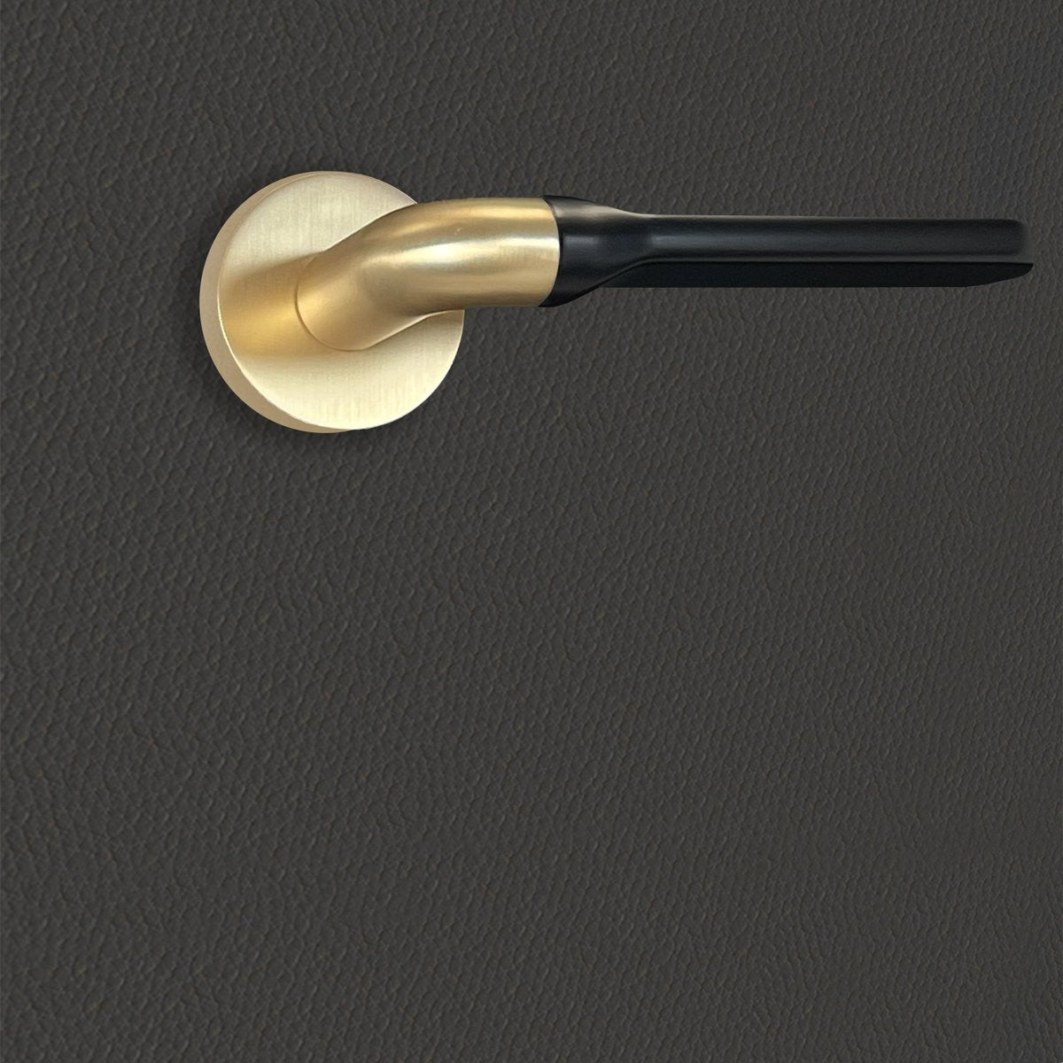 Poignée de porte Daniela