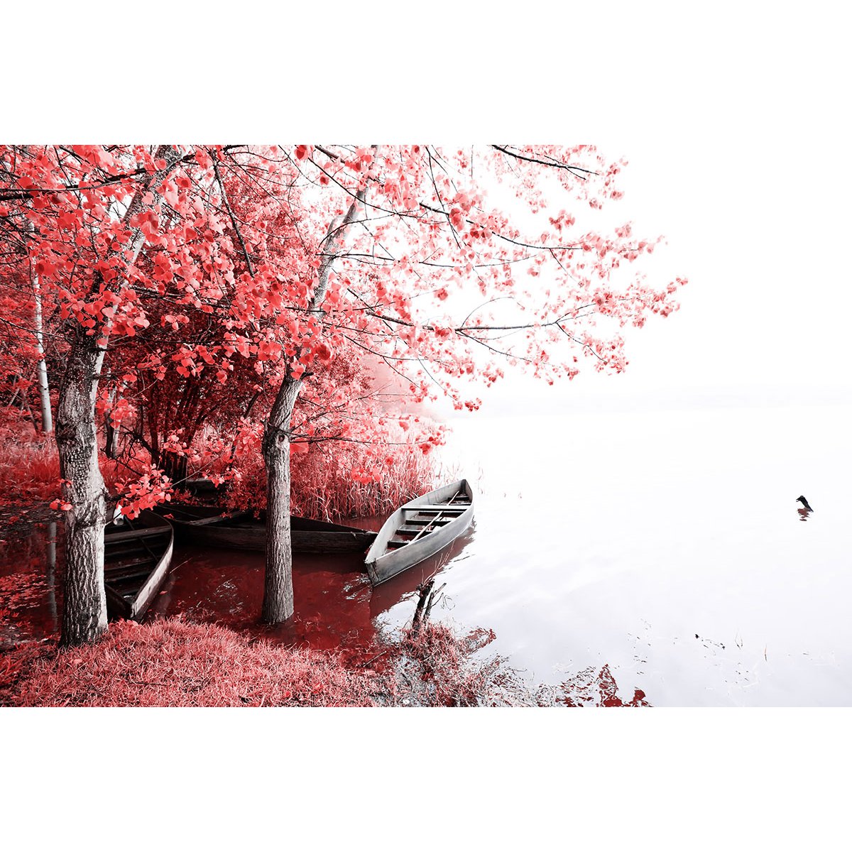 Papier peint panoramique - Bateau Fleurs rouges