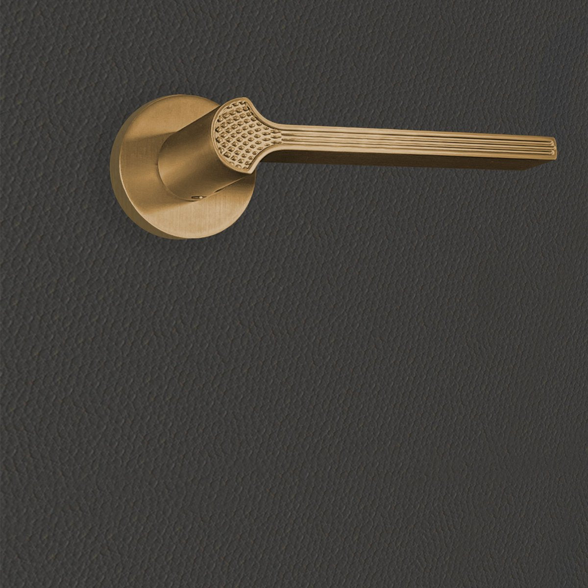 Poignée de porte Stella