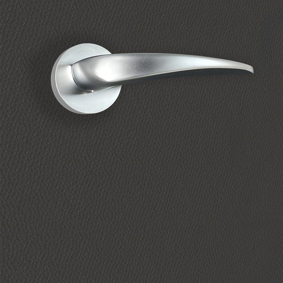 Poignée de porte Erica