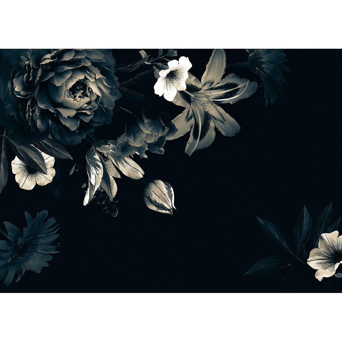 Papier peint panoramique - Fleurs