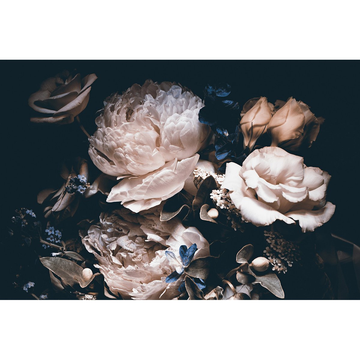 Papier peint panoramique - Pivoines