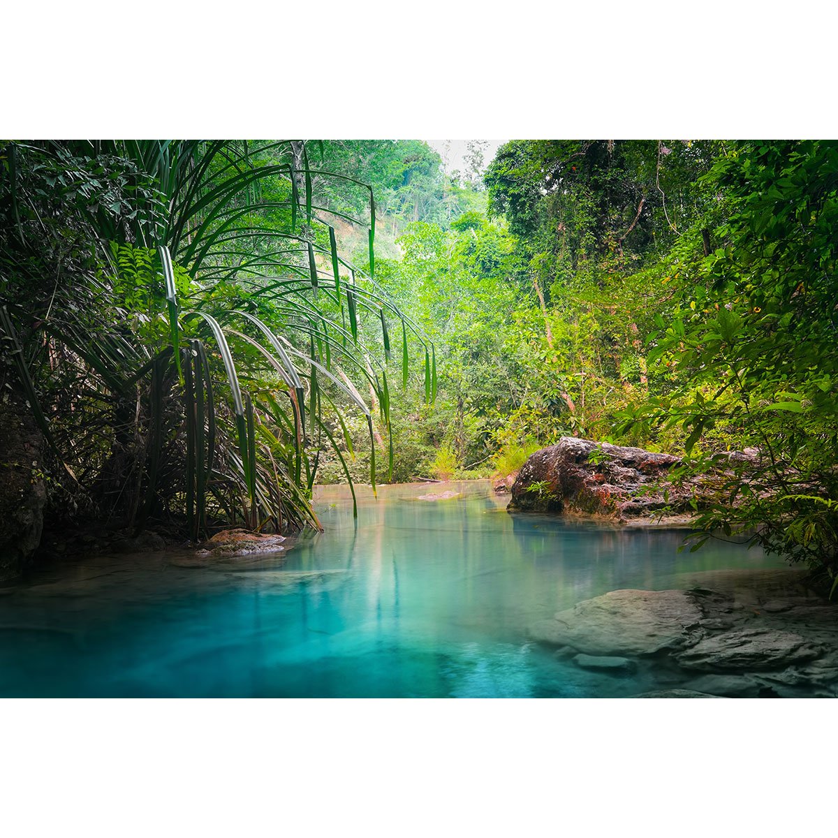 Papier peint panoramique - Piscine naturelle