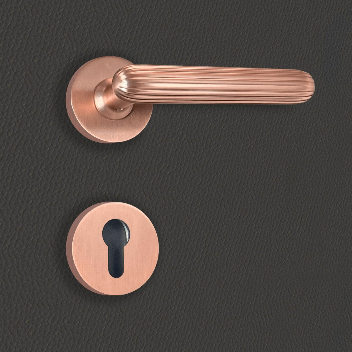 Poignée de porte Livia
