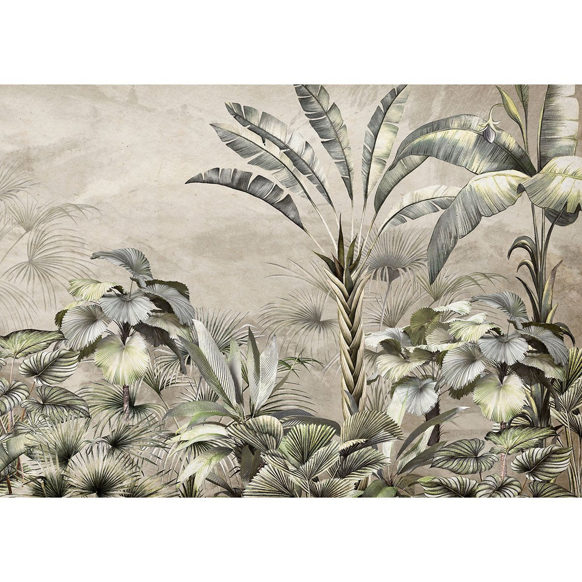 Papier peint panoramique - Forêt tropicale