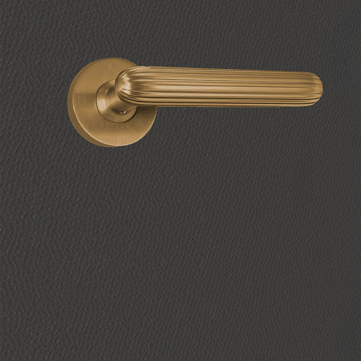 Poignée de porte Tina