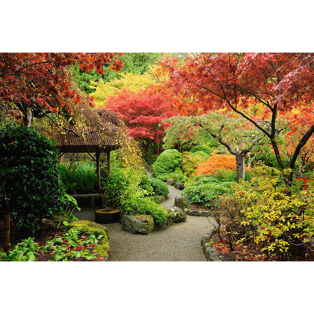 Papier peint panoramique - Jardin japonais