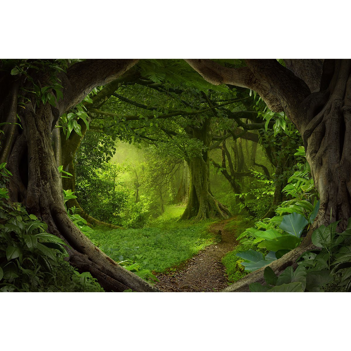Papier peint panoramique Enfants - Chemin Forêt