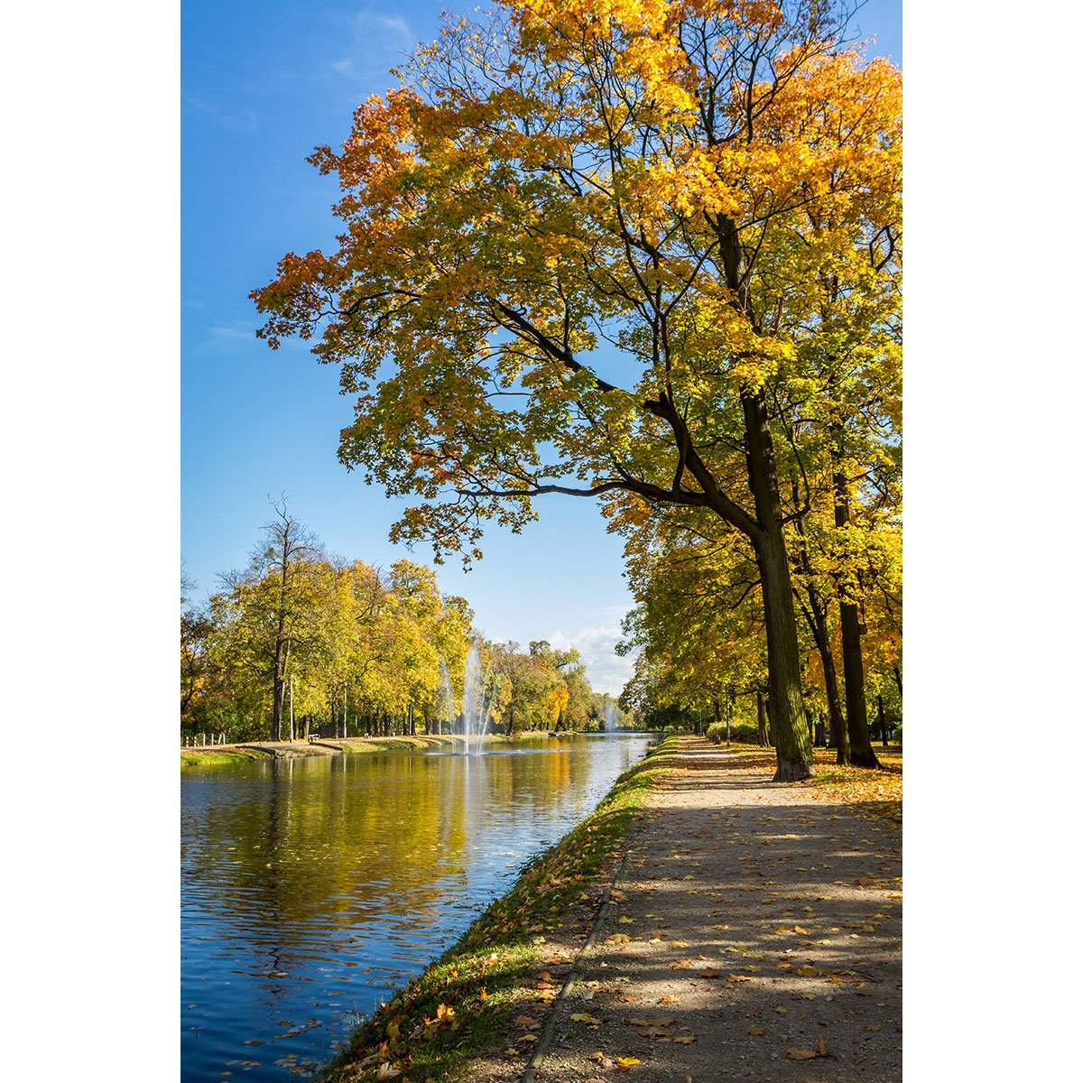 Papier peint panoramique - Rivière