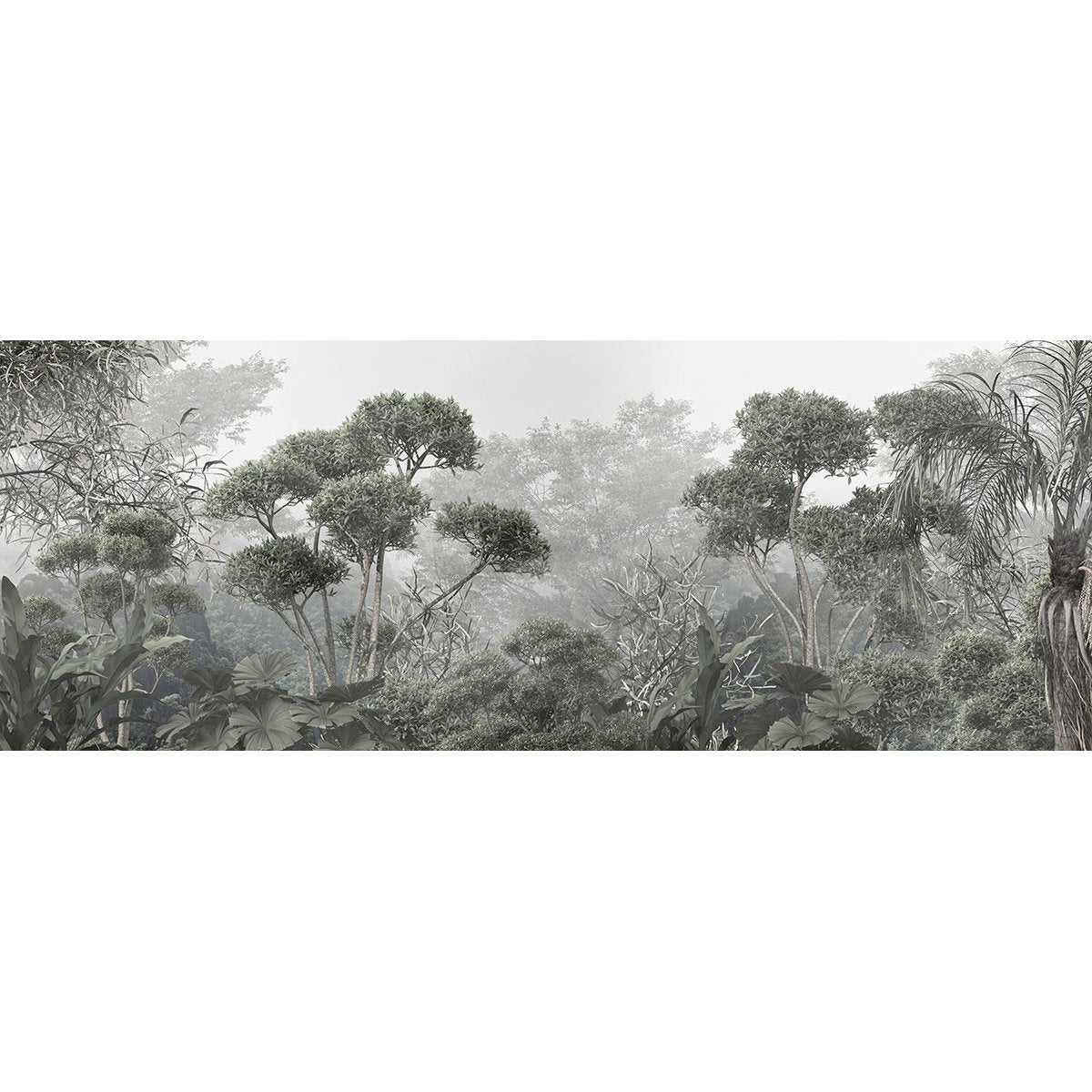 Papier peint panoramique - Forêt tropicale