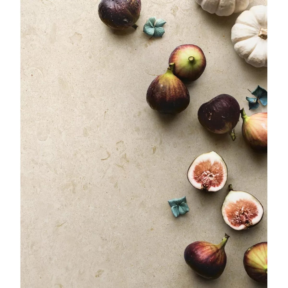 Carrelage Effet Terrazzo - Pierre CARACTER Blanco 60x120 Rectifié
