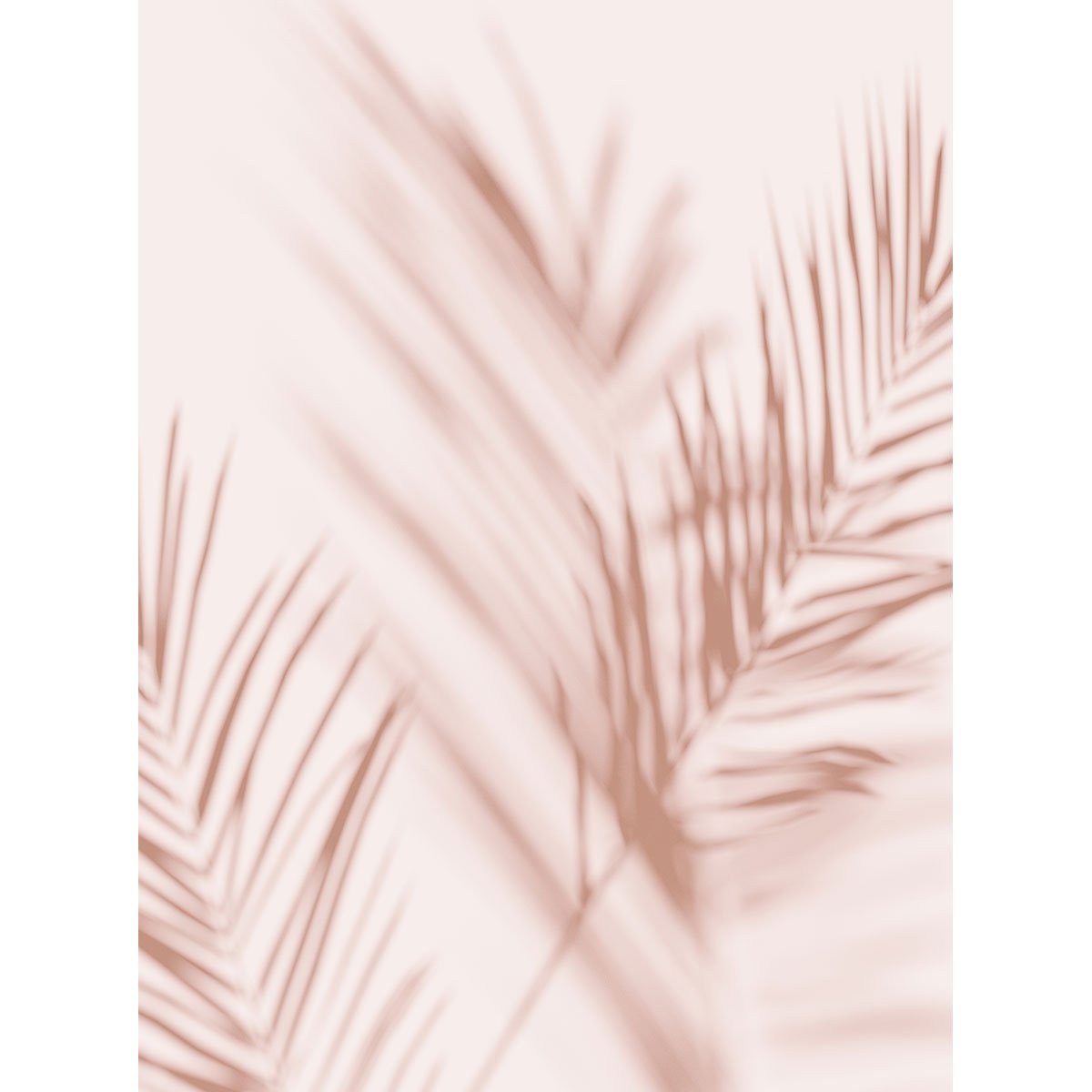 Papier peint panoramique - Feuilles tropicales