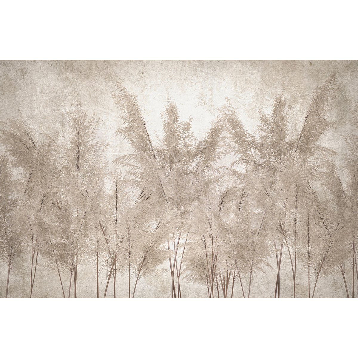 Papier peint panoramique - Forêt tropicale
