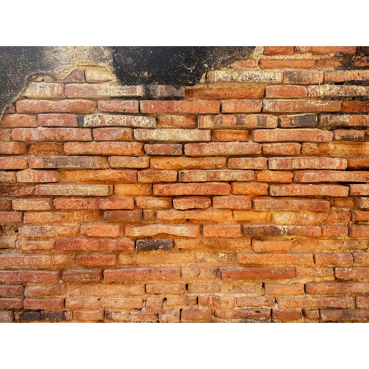 Papier peint panoramique - Mur en briques