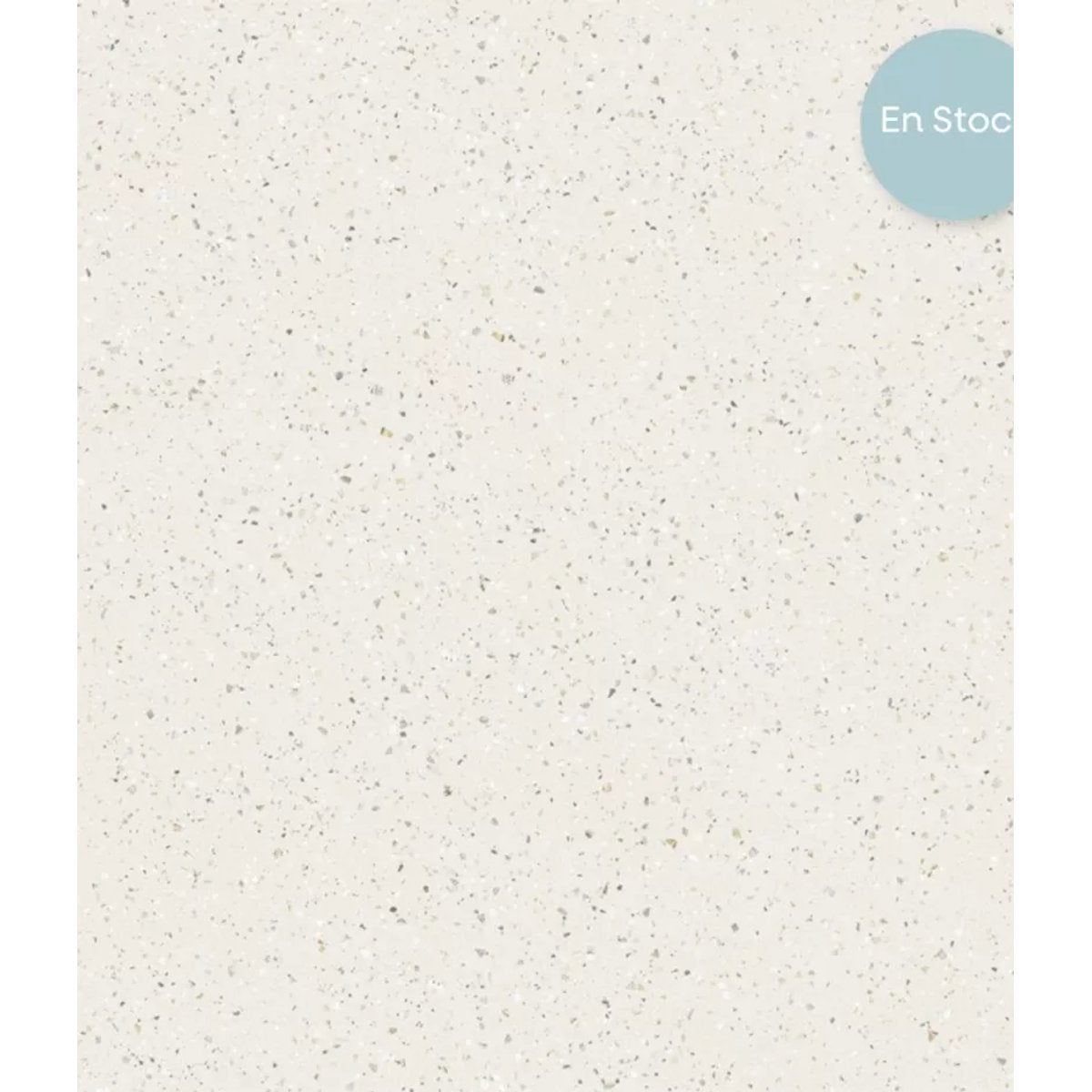 Carrelage Effet Terrazzo POLS 60x60 White