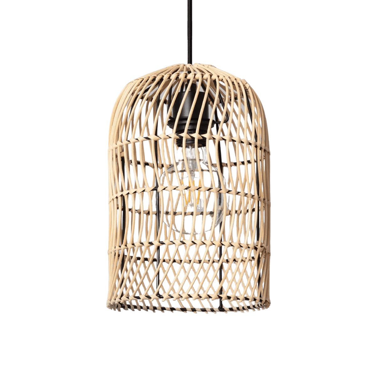 Suspension Osier Design