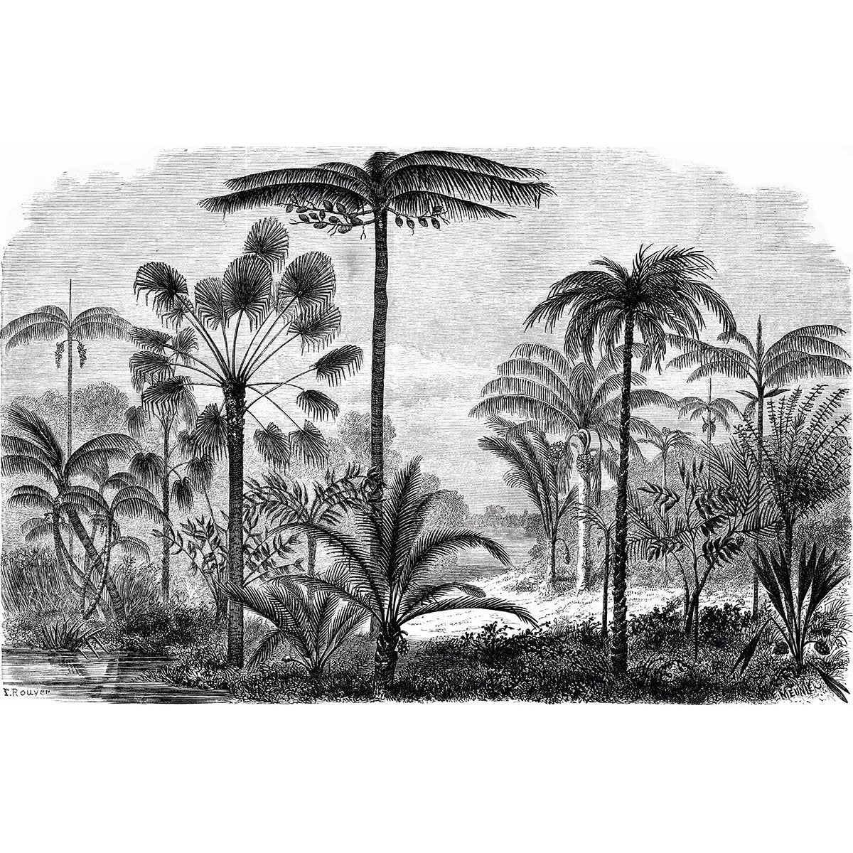 Papier peint panoramique - Forêt tropicale
