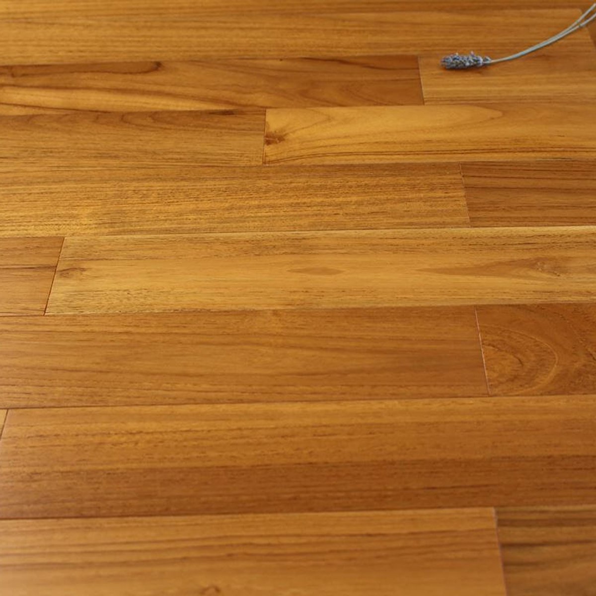 Parquet massif teck verni - Larg. 9 cm