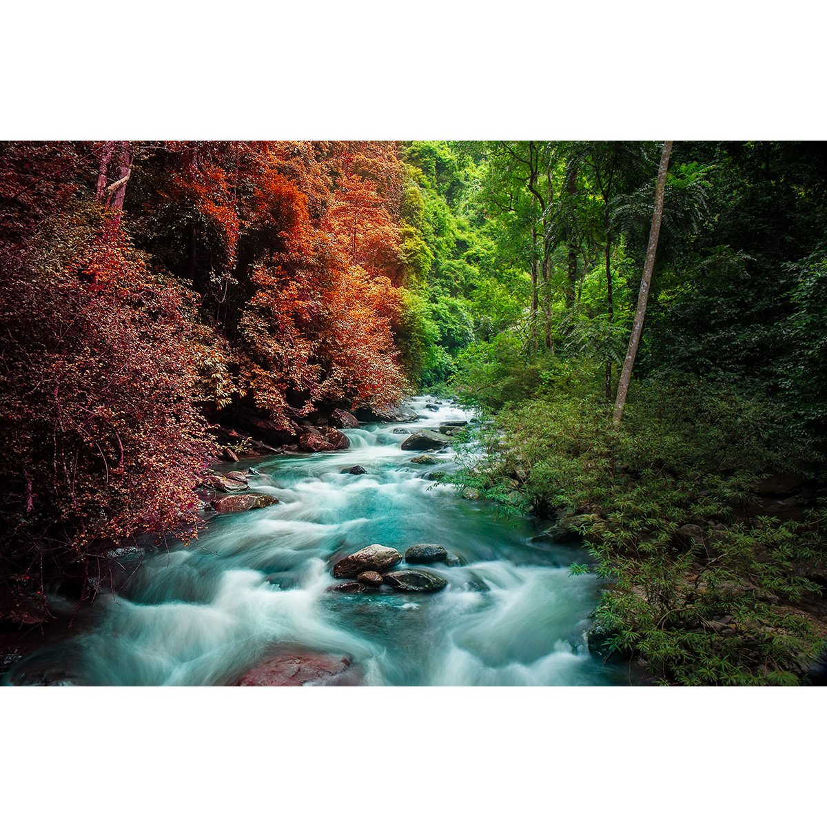 Papier peint panoramique - Rivière
