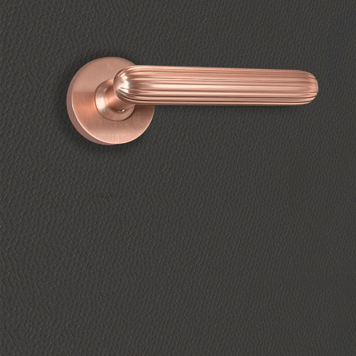 Poignée de porte Livia