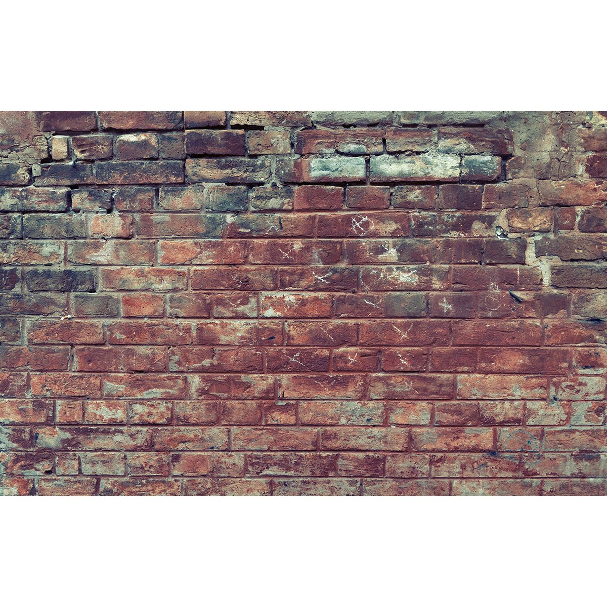Papier peint panoramique - Mur