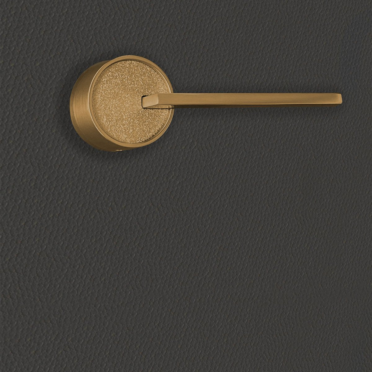 Poignée de porte Gulia