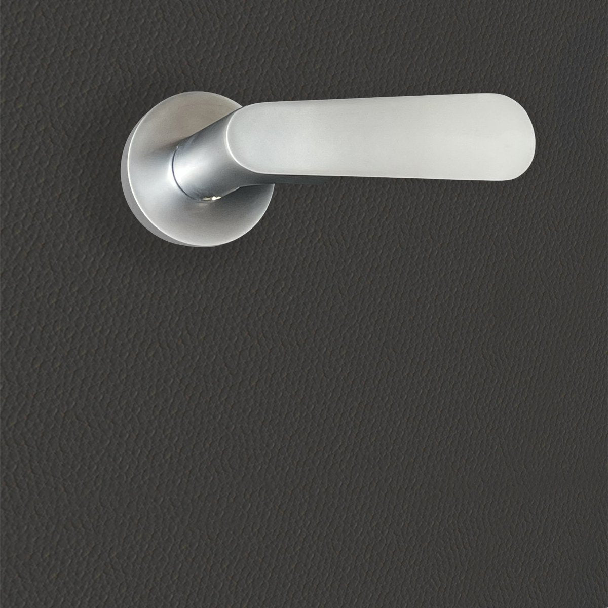 Poignée de porte Regina