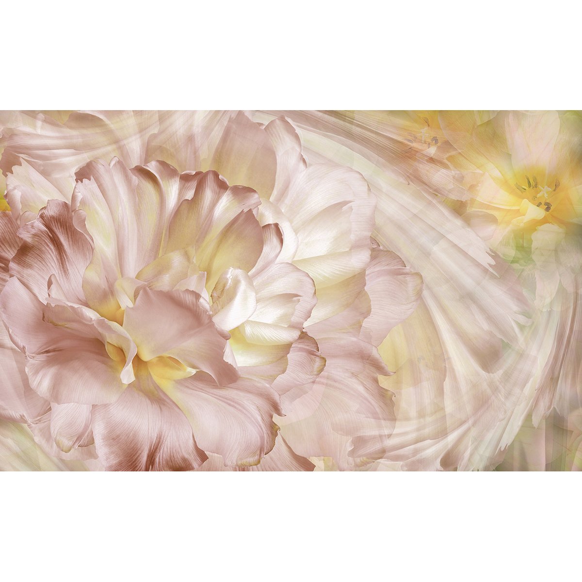 Papier peint panoramique - Fleurs