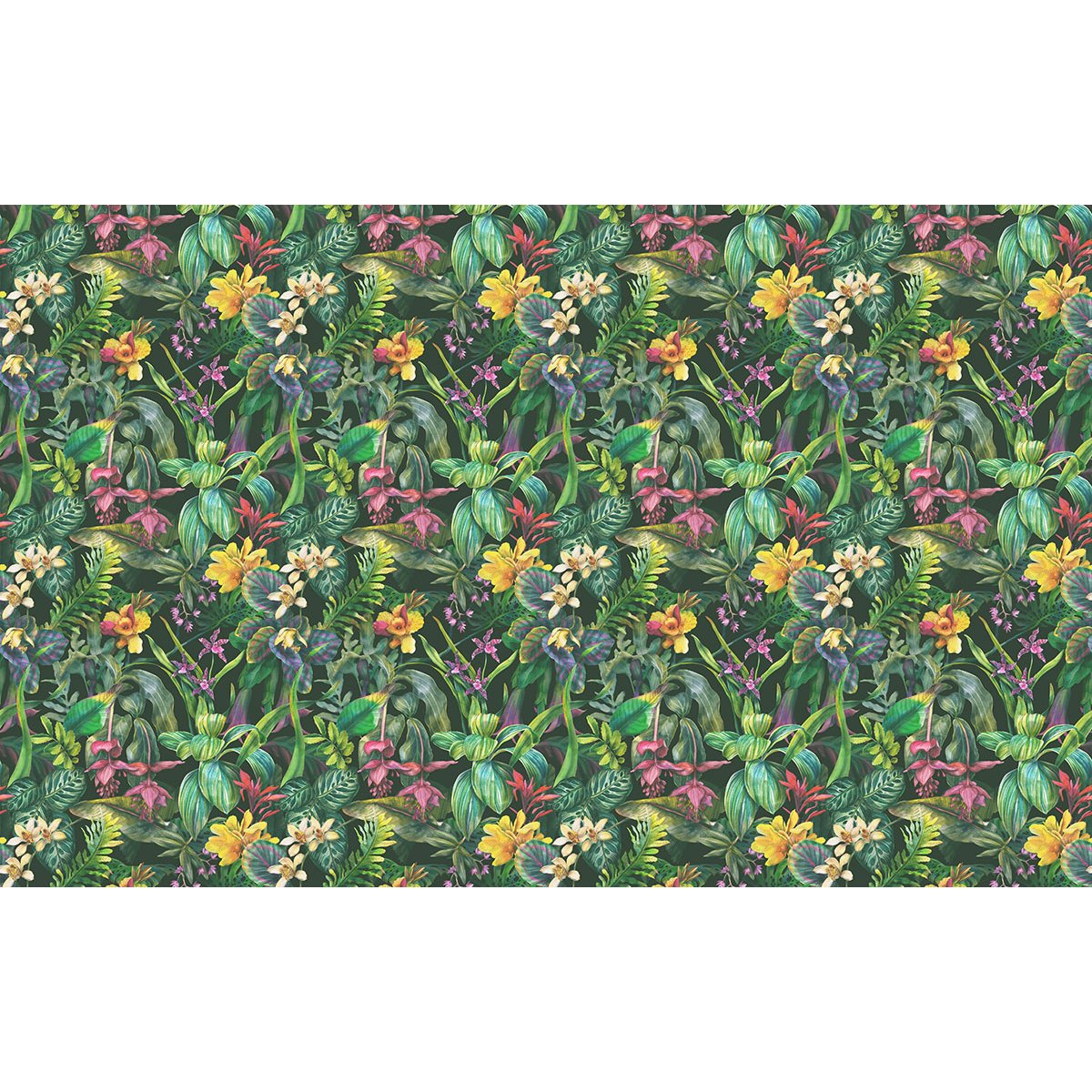 Papier peint panoramique - Motif fleurs Tropicales