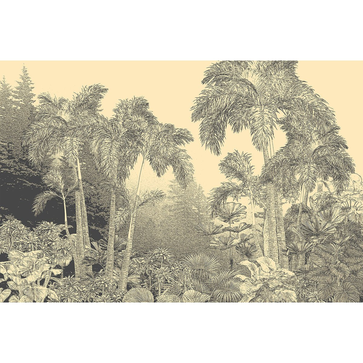 Papier peint panoramique - Forêt Tropicale