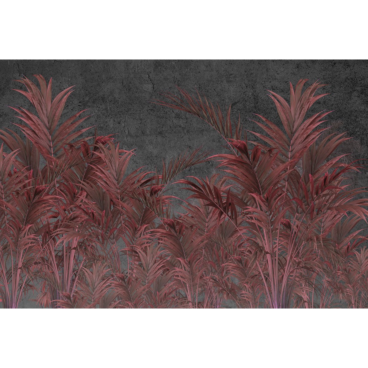 Papier peint panoramique - Plantes tropicales