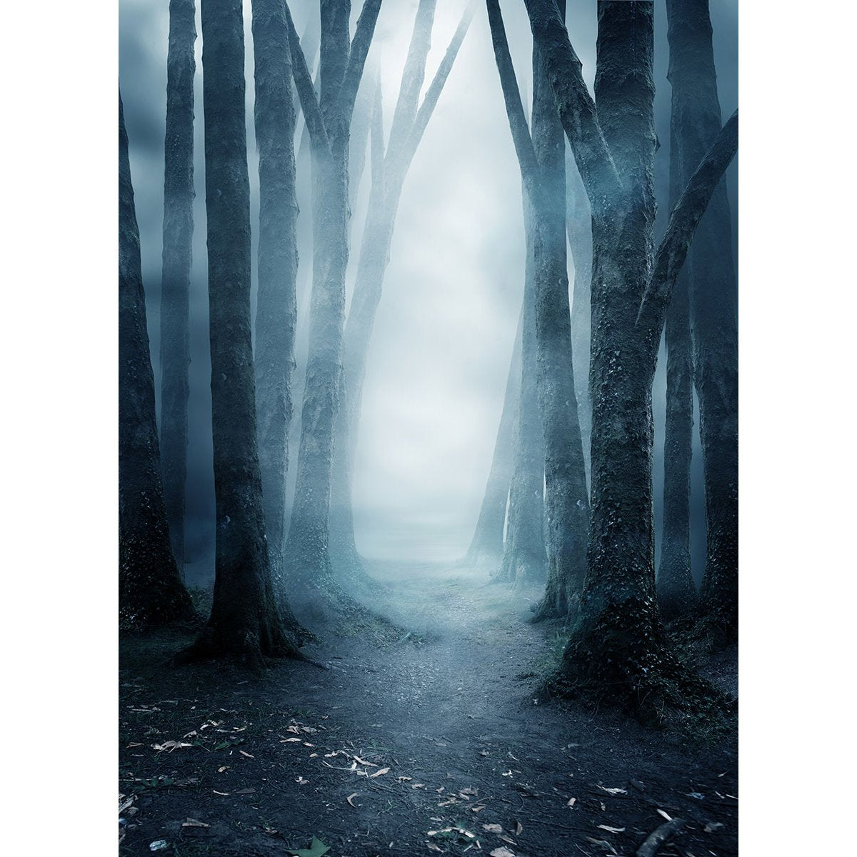Papier peint panoramique - Chemin Arbres