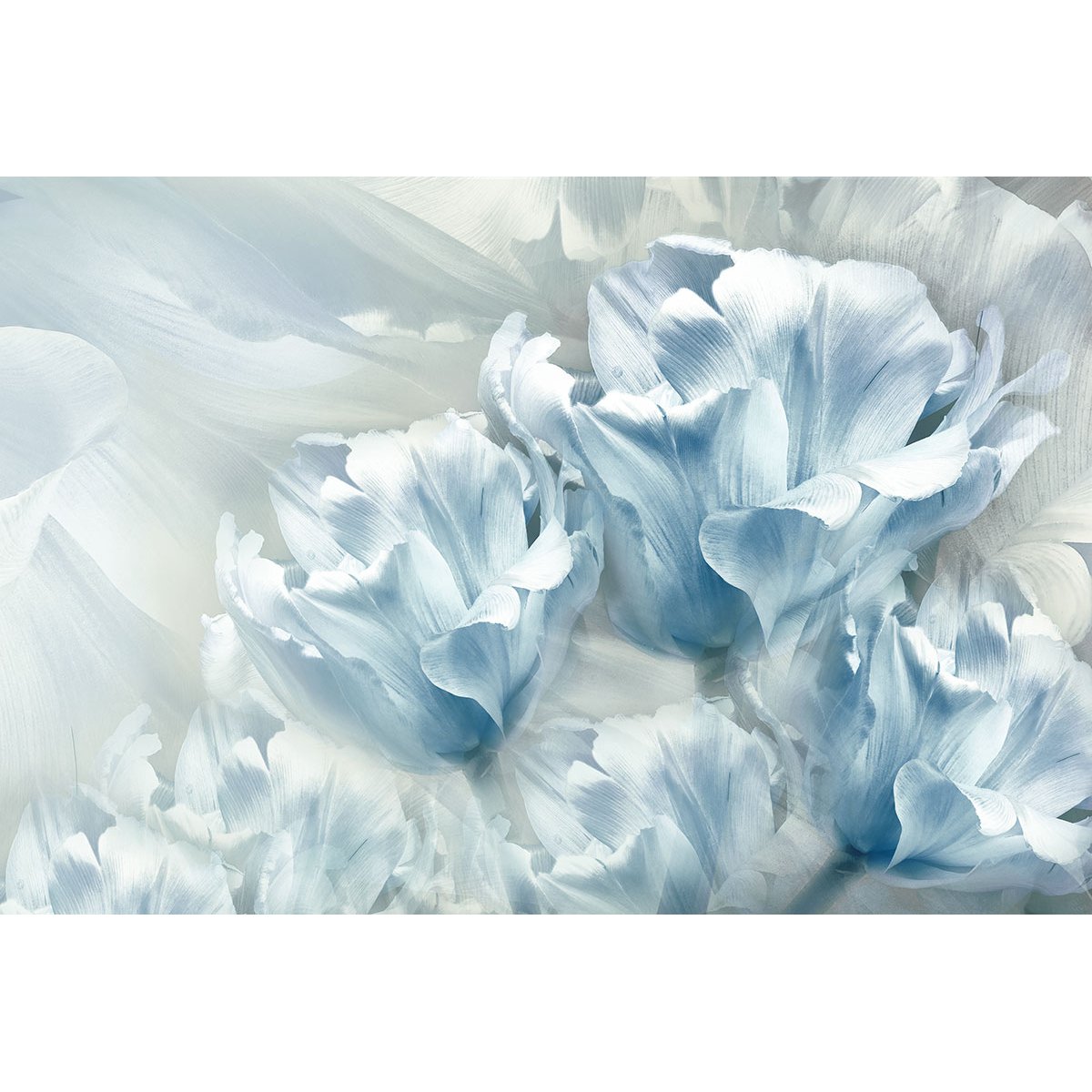 Papier peint panoramique - Fleurs