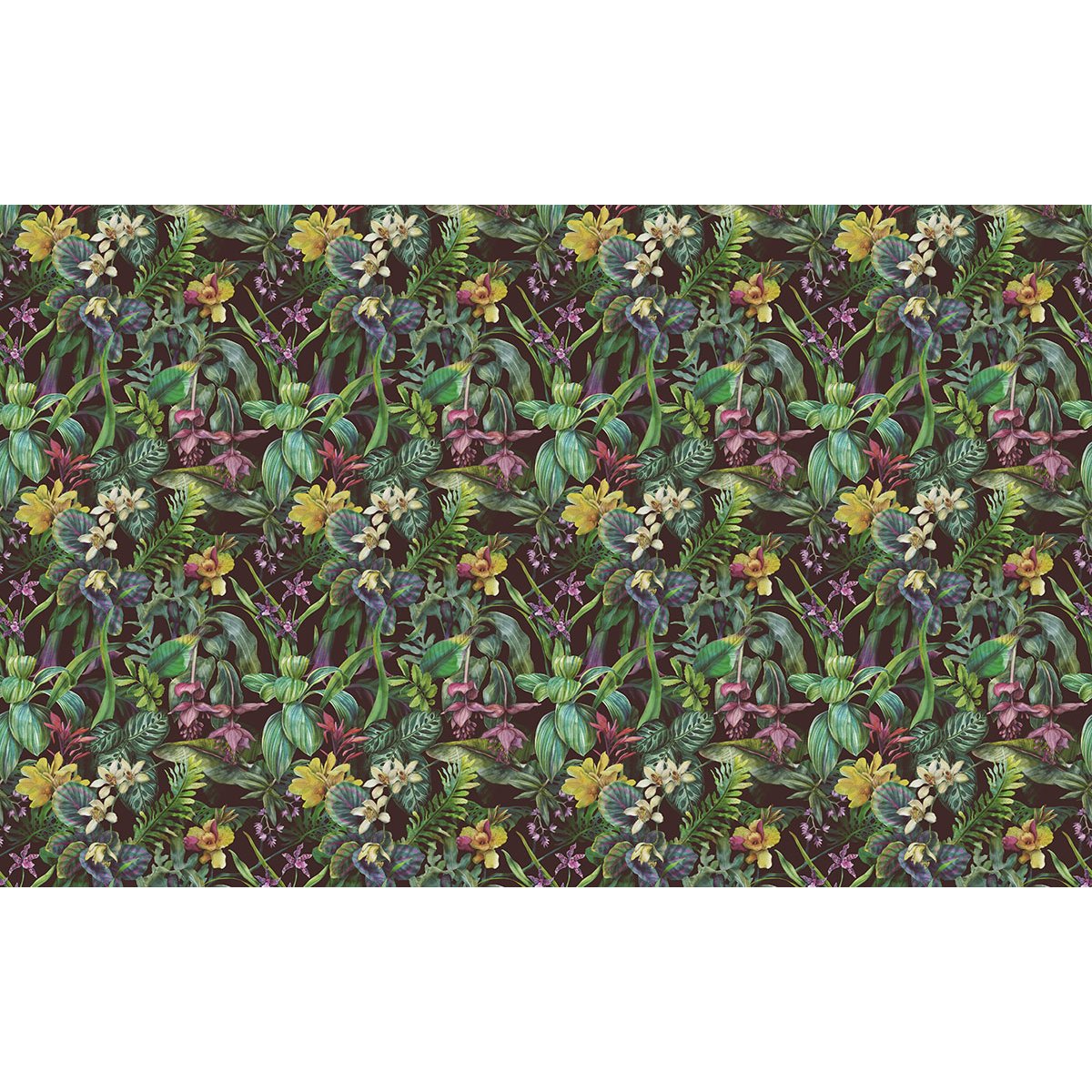 Papier peint panoramique - Motif Fleurs tropicales