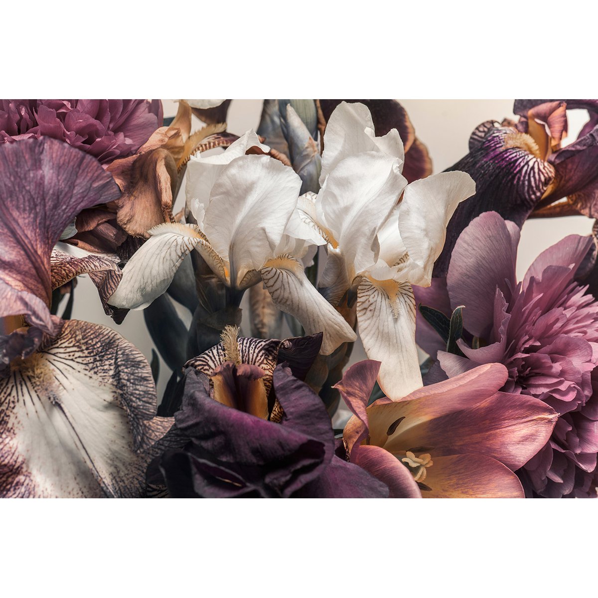 Papier peint panoramique - Fleurs