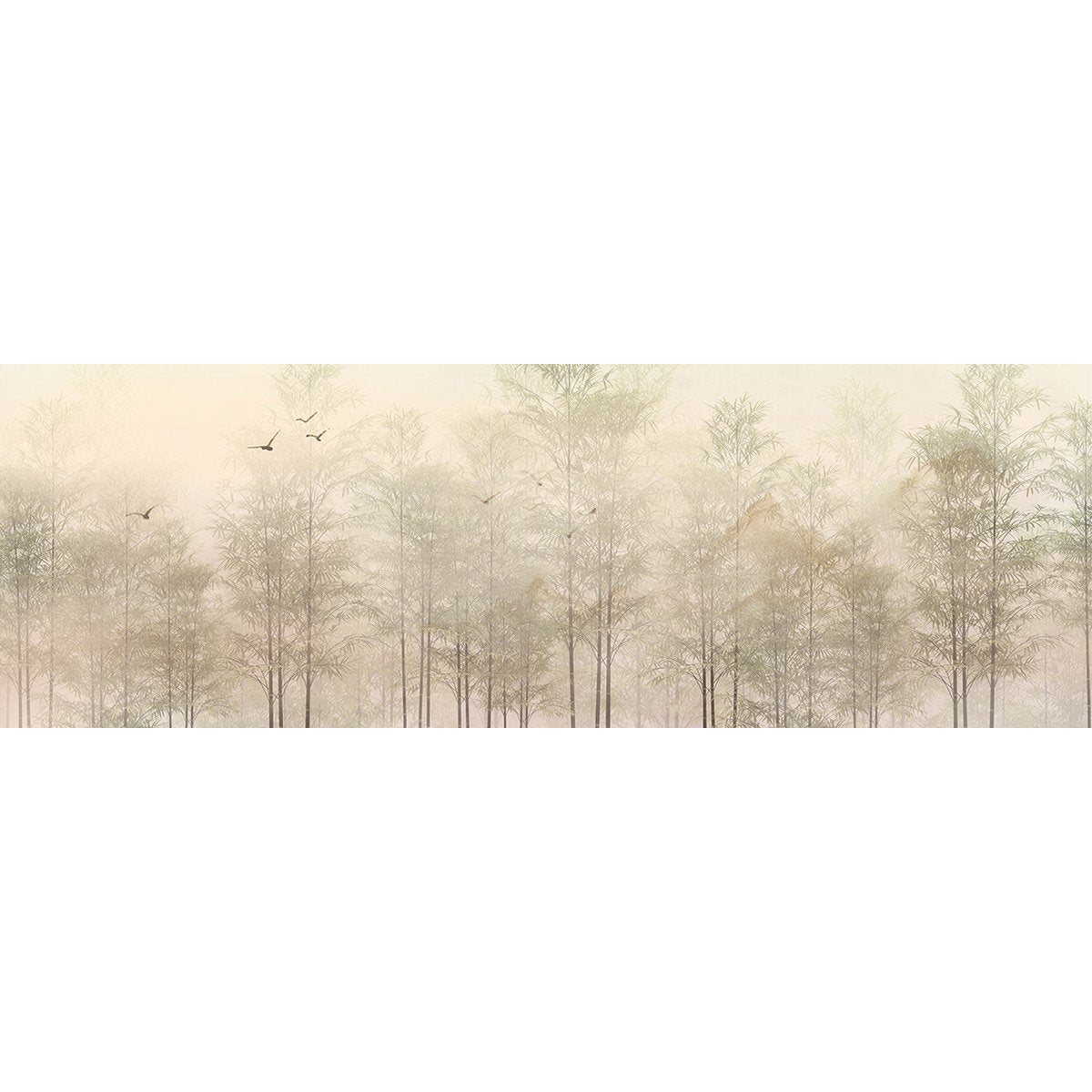 Papier peint panoramique - Forêt